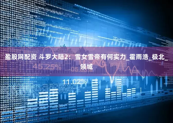 盈股网配资 斗罗大陆2：雪女雪帝有何实力_霍雨浩_极北_领域